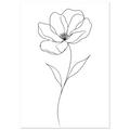 8443ff50-c00c-4872-b561-d4c25f1fcd35